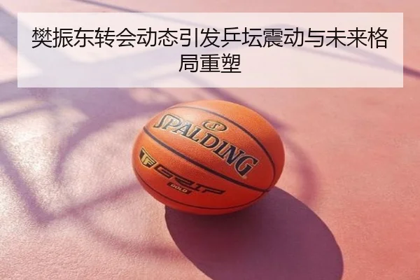 樊振东转会动态引发乒坛震动与未来格局重塑